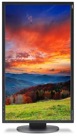 NEC MultiSync EA244WMi-BK, schwarz, 24"