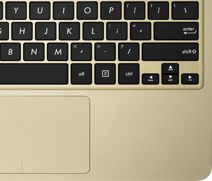 ASUS EeeBook F205TA-FD0066TS, gold, Atom Z3735F, 2GB RAM, 32GB Flash, DE