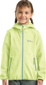 Jack Wolfskin Fourwinds Funktionsjacke cool matcha (Junior)