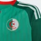 adidas FIFA WM 2026 Algerien Auswärtstrikot kurzarm court green (Junior) Vorschaubild