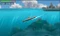 Steel Diver (3DS) Vorschaubild