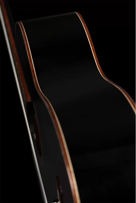 Ortega R221BK-L