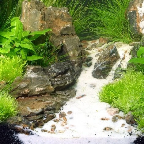 JBL Sansibar WHITE Bodengrund für Süßwasser und Meerwasser-Aquarien, 5kg