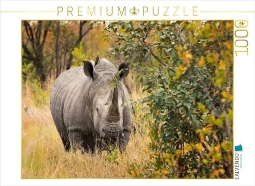 Calvendo Nashorn in seinem Lebensraum