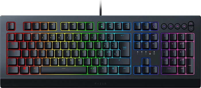 Razer Cynosa V2, USB, IT