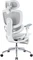 Sihoo Doro C300 Pro V2 adaptiver ergonomischer Bürostuhl, mit Fußstütze, weiß Vorschaubild