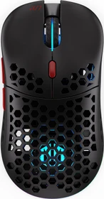 Endorfy LIX Plus Wireless, schwarz, USB