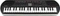 Casio SA-81 Vorschaubild