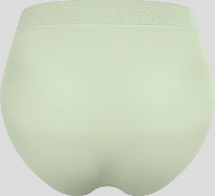Odlo Natural Merino 160 Slip ambrosia (Damen)