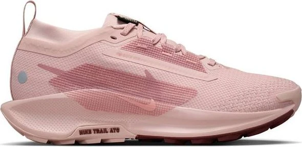 Nike Pegasus pink oxford/red sepia/red stardust (Damen)