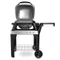 Weber Pulse 2000 Stand Vorschaubild