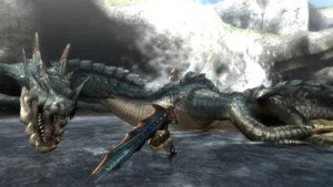 Monster Hunter Tri (Wii)
