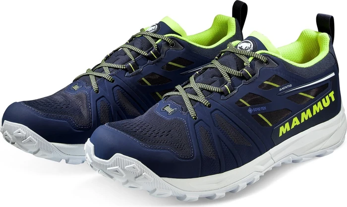 Mammut Saentis Low GTX black/phantom (Herren)