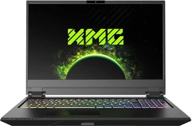 Schenker XMG PRO 15-E19hhn, Core i7-8750H, 16GB RAM, 250GB SSD, 1TB HDD, GeForce RTX 2060, DE (10504988)