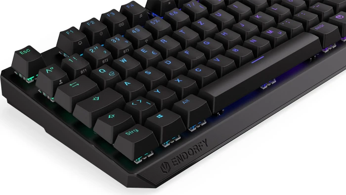 Endorfy Thock TKL Wireless, PBT, LEDs RGB, hot-swap, Kailh Box RED, USB/Bluetooth, DE