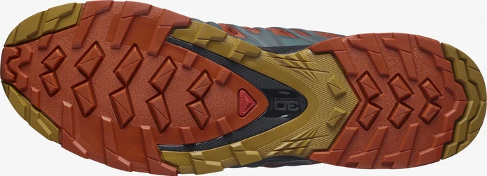 Salomon XA Pro 3D V8 rooibos tea/black/cumin (Herren)