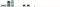 ASUS P13R-E/10G-2T (Intel 1700) Vorschaubild