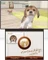Nintendogs + Cats: Französische Bulldogge und neue Freunde (3DS) Vorschaubild