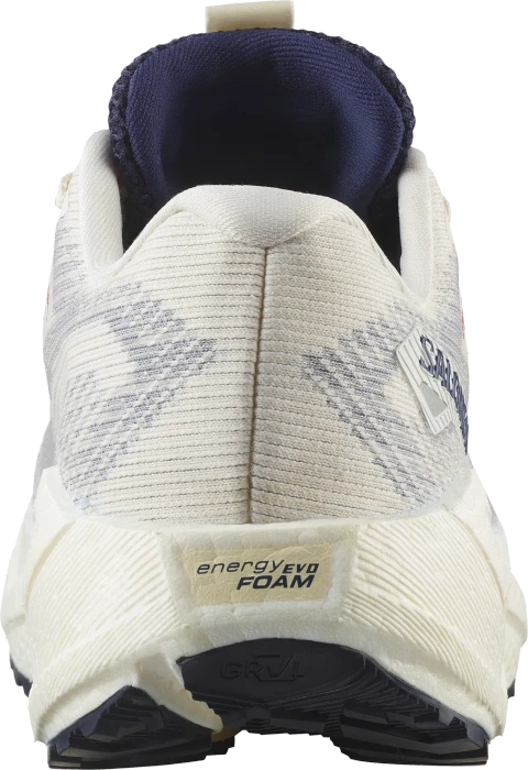 Salomon Aero Glide 3 GRVL GTX vanilla ice/astral aura/lemon (Damen)