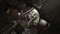 Resident Evil 7 - Season Pass (Download) (Add-on) (PC) Vorschaubild