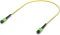 Ubiquiti Ubiquiti Unifi LWL MPO-12 Patchkabel, OS2 Vorschaubild