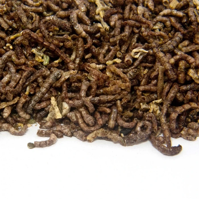 DRAK-Aquaristik FD Rote Mückenlarven, Standbodenbeutel, 25g