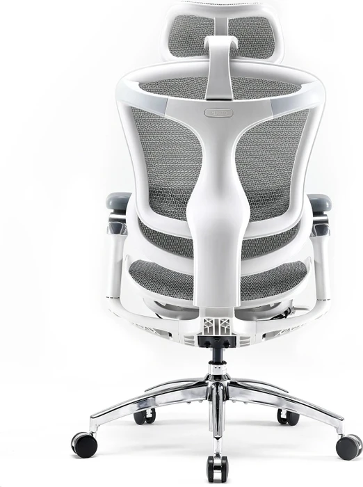 Sihoo Doro C300 Pro Ergonomischer Bürostuhl, weiß
