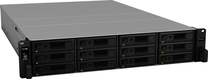 Synology RackStation Expansion RX1222sas, 2x Mini SAS HD, 2HE