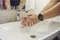 Hama Smartwatch Fit Watch 6910 schwarz Vorschaubild