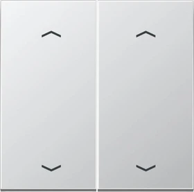 Jung Wippe 2fach, F10, mit Pfeilsymbolen, Serie LS, Aluminium