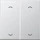 Jung Wippe 2fach, F10, mit Pfeilsymbolen, Serie LS, Aluminium (AL 102 P)