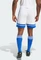 adidas Squadra 25 Shorts Trainingshose kurz white/royal blue (Herren) Vorschaubild