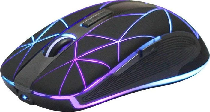 Riitek RM200 Wireless Mouse schwarz, USB
