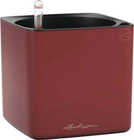 Lechuza Cube Color 14 scarlet rot matt