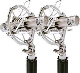Warm Audio WA-84 Premium Stereo Package nickel
