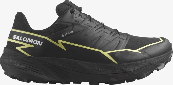 Salomon Thundercross GTX black/charlock (Damen)