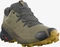 Salomon Speedcross 5 GTX martini olive/peat/arrowwood (Herren) Vorschaubild