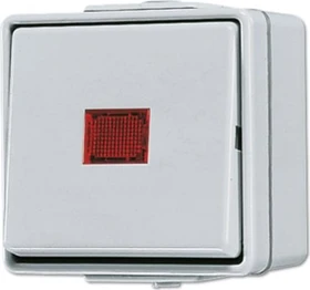 Jung WG 600 Wipp-Kontrolschalter 10AX 250V