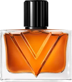 Valentino Vendetta Uomo Eau de Parfum, 50ml