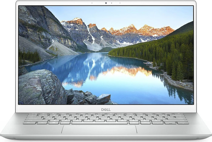 Dell Inspiron 14 5405, Platinum Silver, Ryzen 5 4500U, 8GB RAM, 256GB SSD, DE