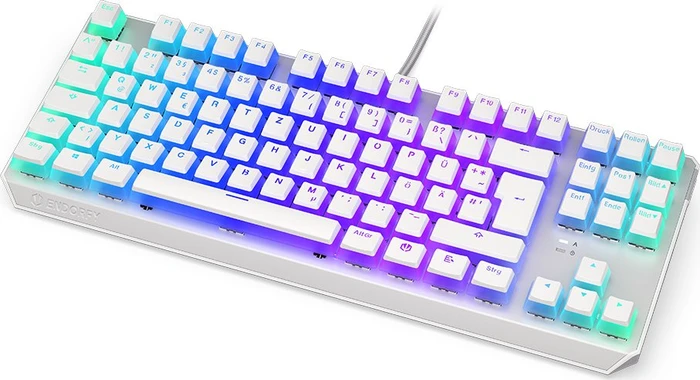 Endorfy Thock TKL Pudding, Onyx White, PBT, LEDs RGB, Kailh BROWN, USB, DE