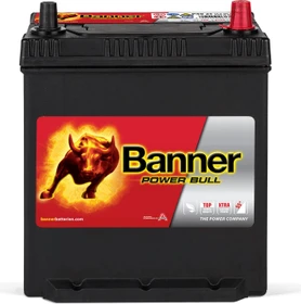 Banner Power Bull P4025