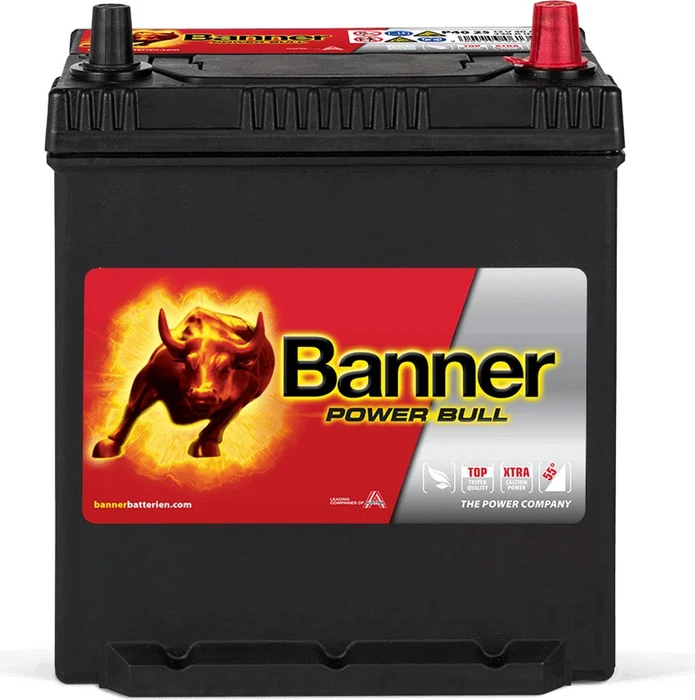 Banner Power Bull P4025