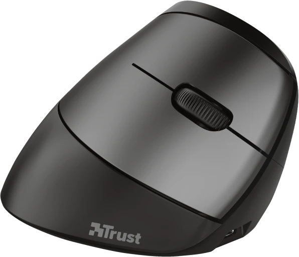 Trust Bayo Wireless Rechargeable Ergonomic Mouse, schwarz/grau, USB