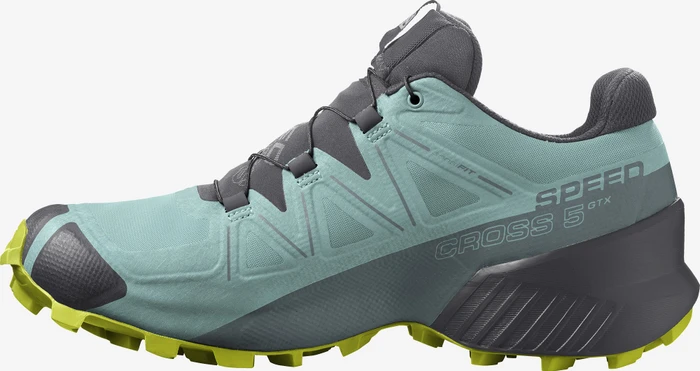 Salomon Speedcross 5 GTX pastel turquoise/ebony/evening primrose (Damen)