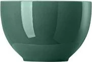 Thomas Sunny Day Colours Müslischale 12cm 450ml herbal green