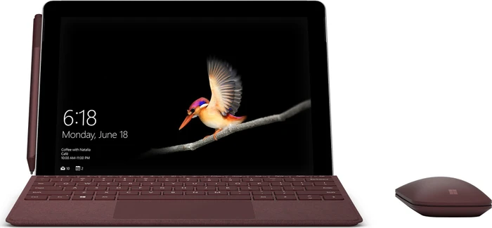 Microsoft Surface Go, rot, Pentium Gold 4415Y, 4GB RAM, 64GB, Signature Type Cover Bordeaux rot