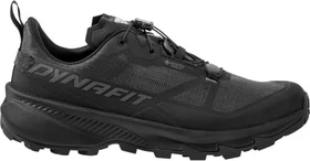 Dynafit Traverse GTX magnet/black out (Herren)