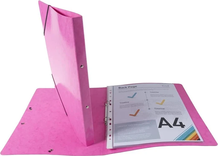 Exacompta Iderama Ringbuch 2-Ring, 20mm, A4, rosa