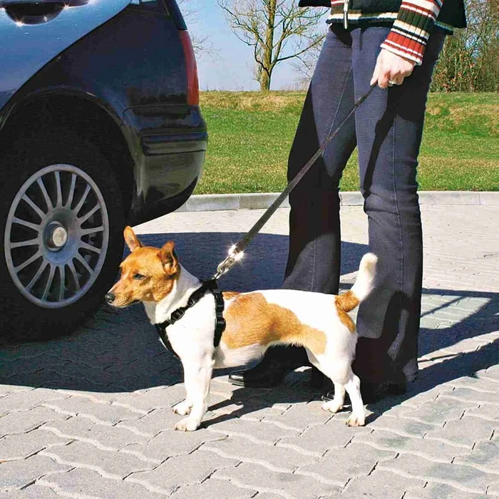 Trixie Auto-Geschirr XS, schwarz